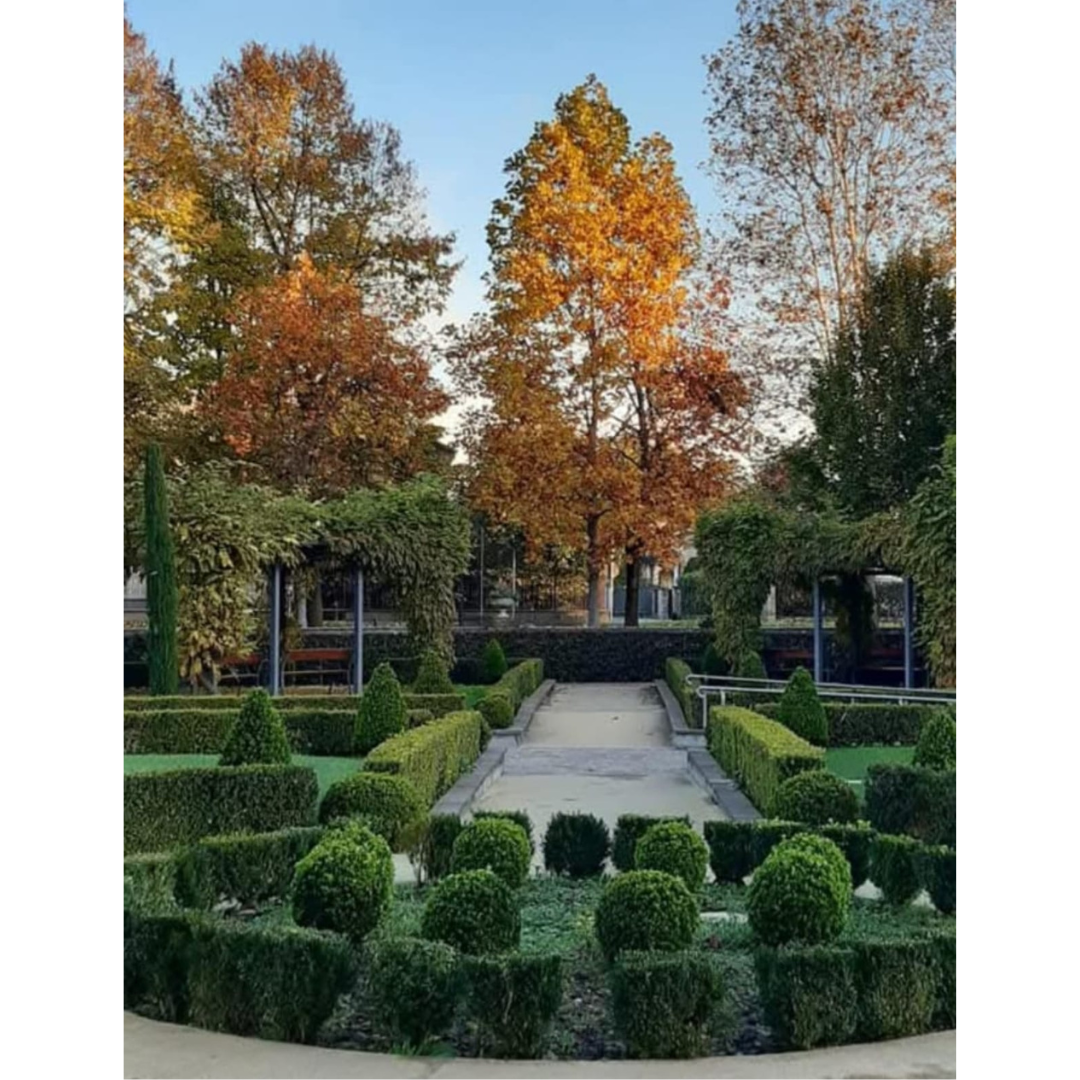 Foto giardino Fondazione Vaglietti